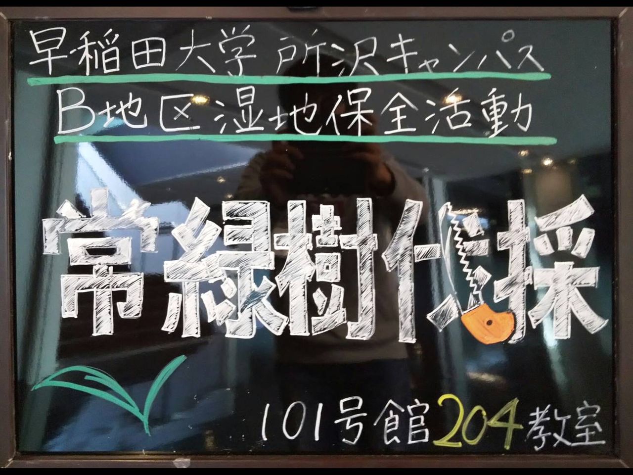 2 16 所沢湿地保全 常緑樹伐採 農楽日記