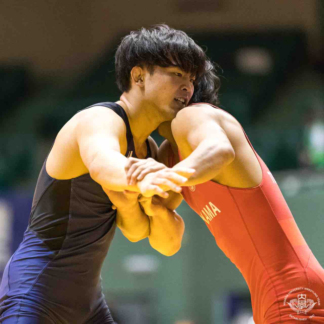 全日本大学グレコローマン選手権大会 早稲田大学レスリング部 全日本大学グレコローマン選手権大会 早稲田大学レスリング部