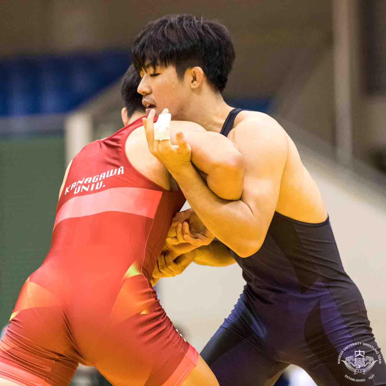 全日本大学グレコローマン選手権大会 早稲田大学レスリング部 全日本大学グレコローマン選手権大会 早稲田大学レスリング部