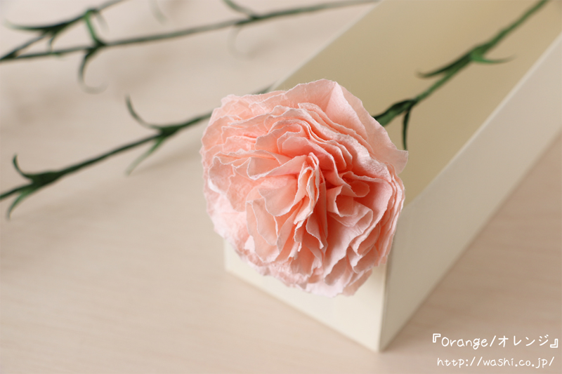 母の日の特別な 和紙製カーネーション プレゼント ギフト入荷 浅倉紙業株式会社 ショールーム 紙あさくら のブログ