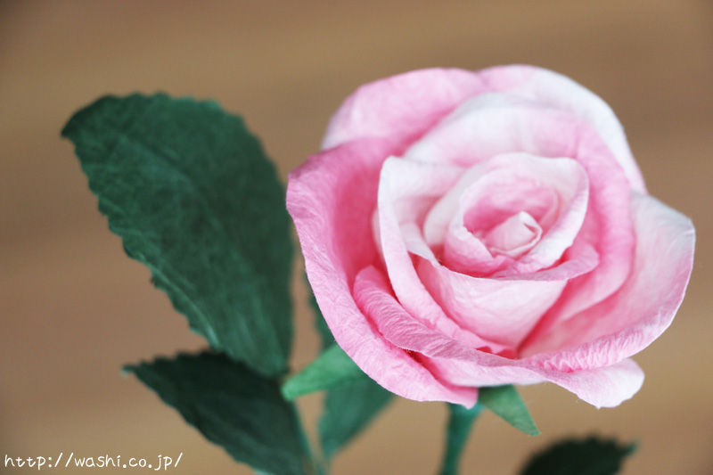 結婚記念日の贈り物 淡いピンク色の和紙の花 一輪のバラ 浅倉紙業株式会社 ショールーム 紙あさくら のブログ