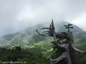 2016年8月白山登山(ちょっとした風景も絵になりますね♪)