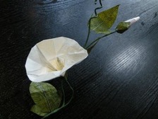 和紙のあさがお(白)