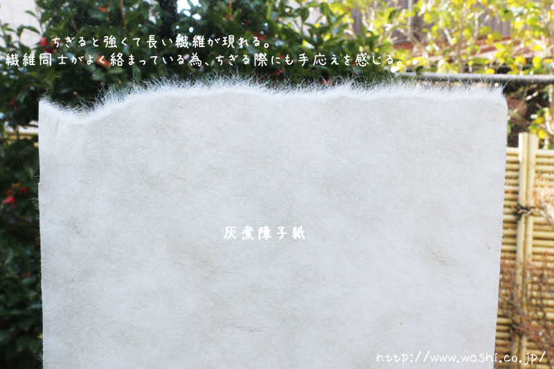 10年以上張り替えいらずの障子紙 本物の和紙はこんなにも違う 浅倉紙業株式会社 ショールーム 紙あさくら のブログ