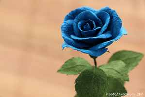 結婚1周年紙婚式プレゼント。和紙の青いバラの花一輪 (アップ)