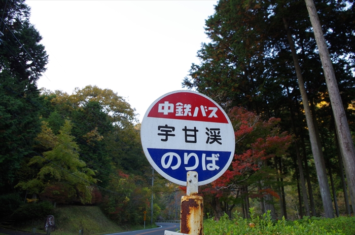 IMGP3652_R