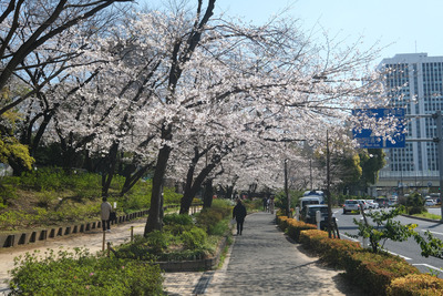 DSCF2281