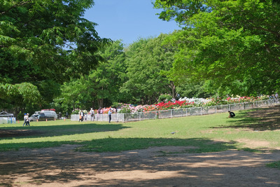 11-DSCF1483