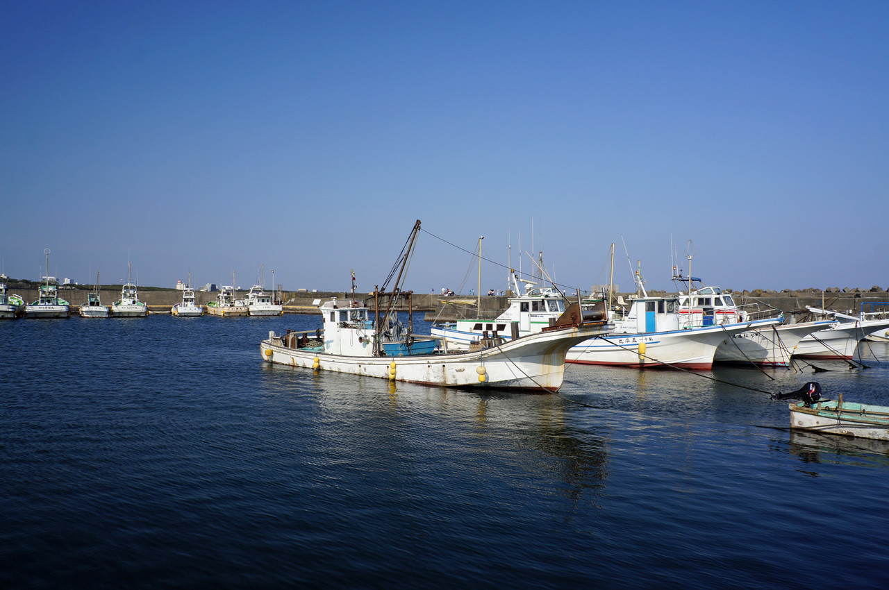 晴れ 時々 マーケティング サーフ ターフ 大磯 照ヶ崎海岸 Livedoor Blog ブログ