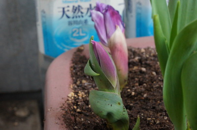 0323DSC08228