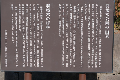 11-1DSCF9446