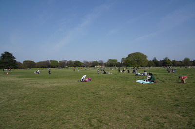 DSC03104