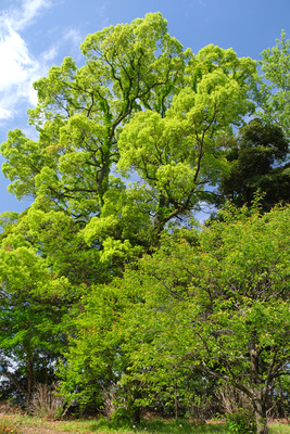 191-DSCF0721