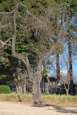 427-4-2025DSCF6159