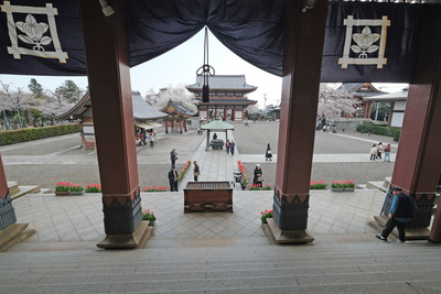 1DSCF2698