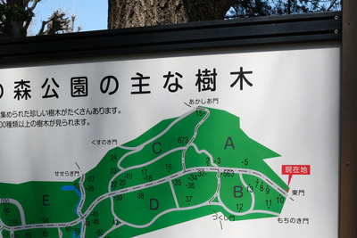 DSCF2480