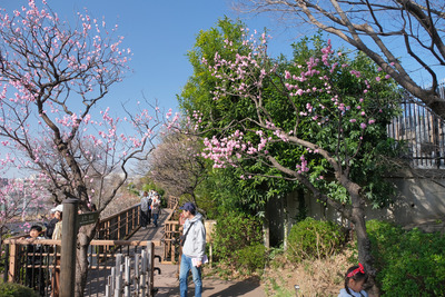 30DSCF9868