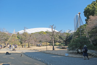 120-DSCF9624