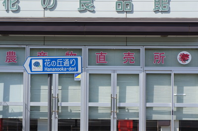 DSC05542