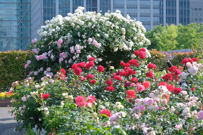 45-DSCF1710