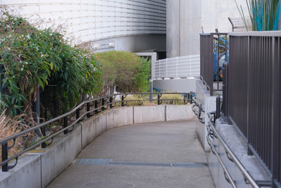 41DSCF0031