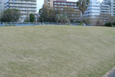 132-DSCF0123