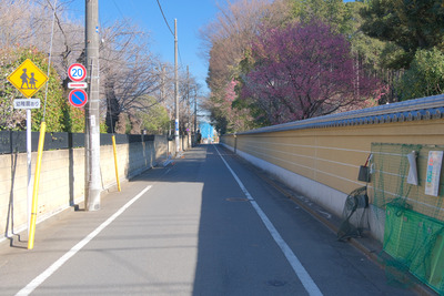 18-DSCF9345