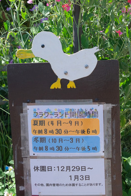 51DSCF1443
