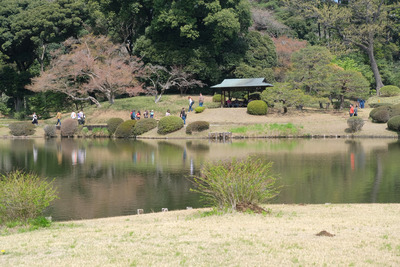 401-DSCF0411