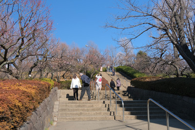 15-DSCF9448