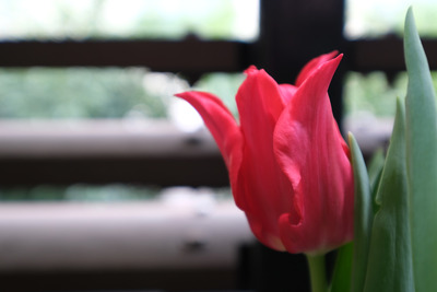 a-2DSCF2934
