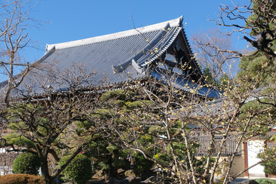 70-1DSCF9408