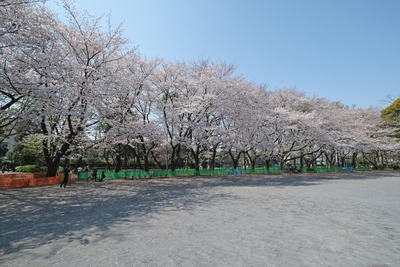 2DSCF2423
