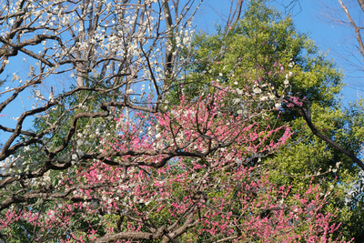 208-DSCF9707