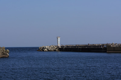 DSC07718