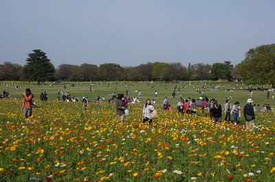 DSC03143