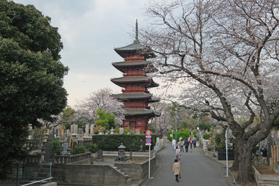 DSCF2728