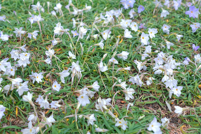 112-2DSCF0112