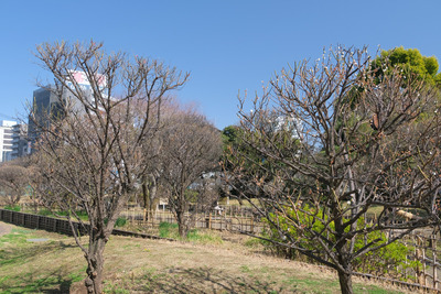 13-DSCF9803