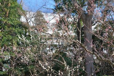 142-DSCF9651
