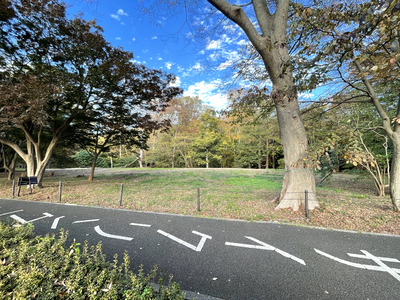 33IMG_4321