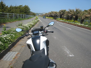 19フラワー道路
