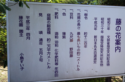 DSC09166