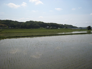 03水田