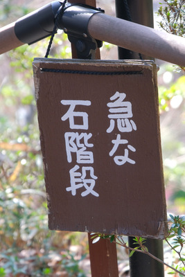 38DSCF9880