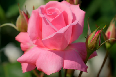 60DSCF1662