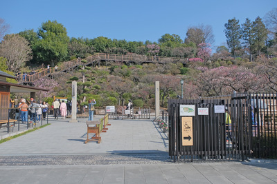 10-1DSCF9831