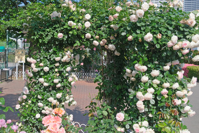 46-DSCF1633