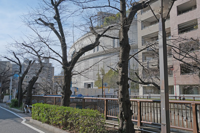 10-DSCF9990