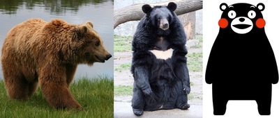 2クマ3種